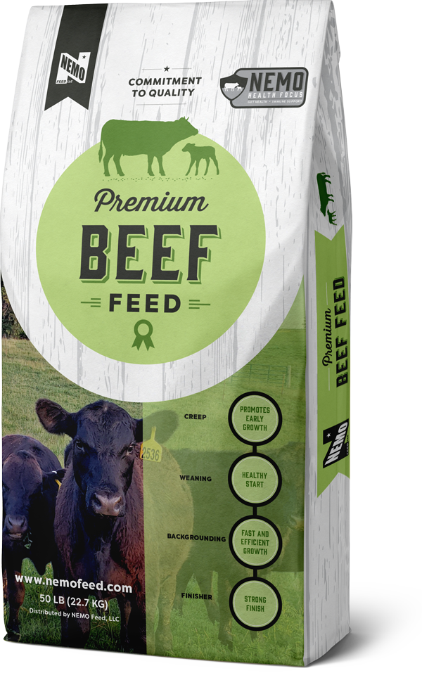 NEMO-Bag-Mockups_Premium_Beef_Bag