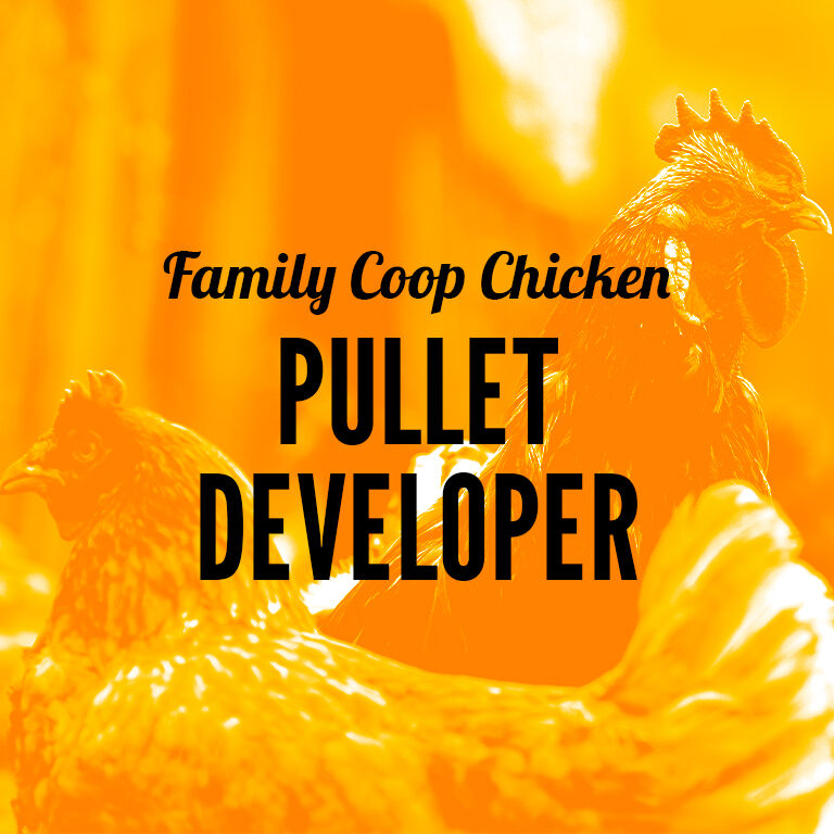 Chicken-Pullet_Developer