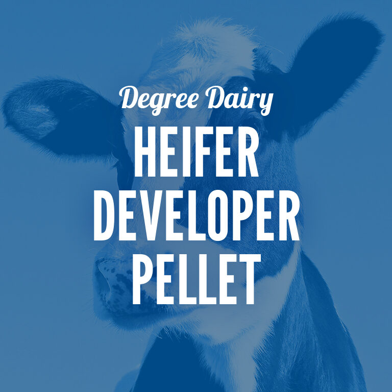 Dairy-Heifer_Developer_Pellet