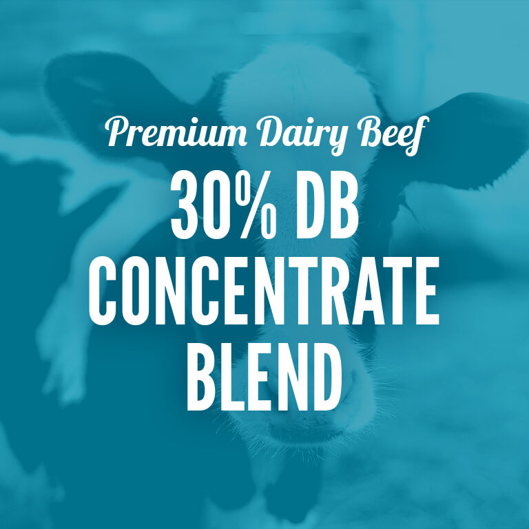 Dairy_Beef-30_DB_Concentrate_Blend