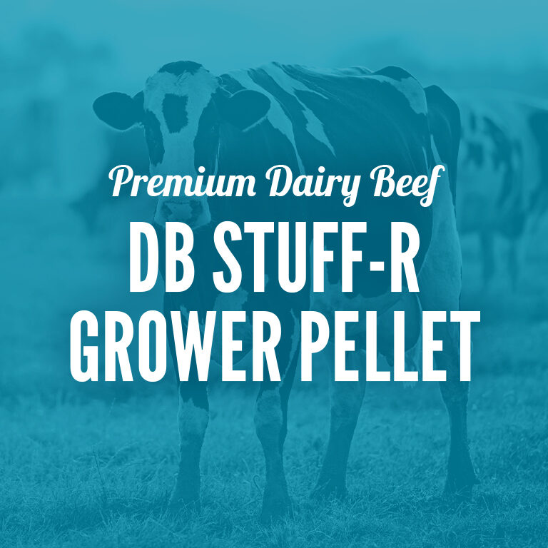Dairy_Beef-DB_StuffR_Grower_Pellet
