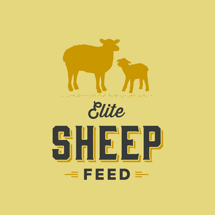 Elite-Sheep