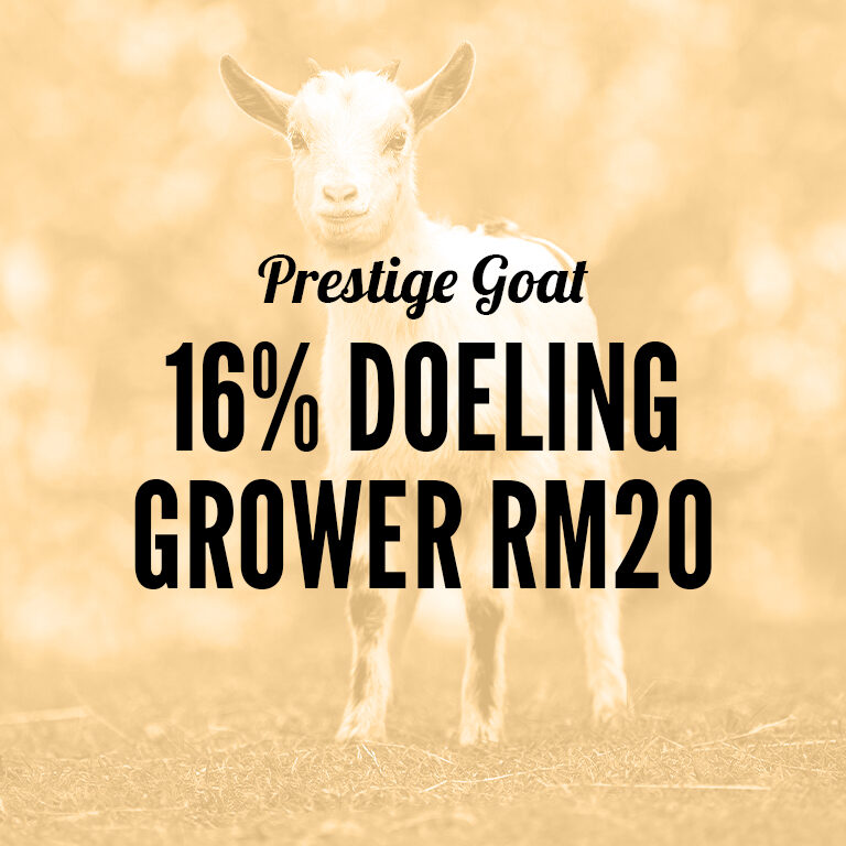 Goat-16_Doeling_Grower_RM20