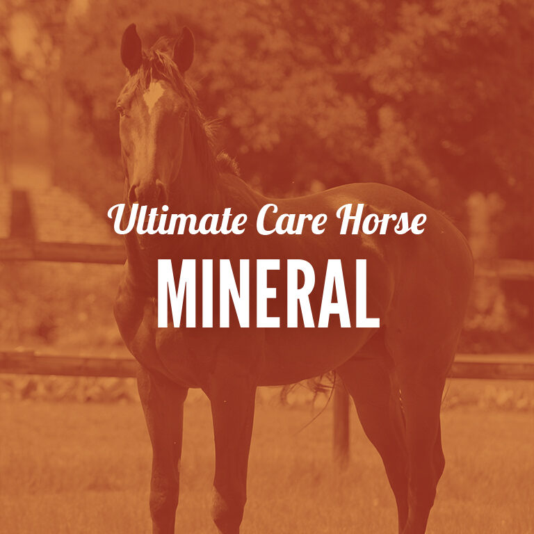 Horse-Mineral