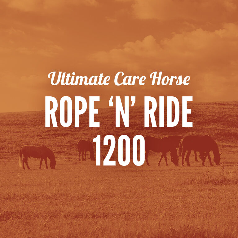 Horse-Rope_N_Ride_1200
