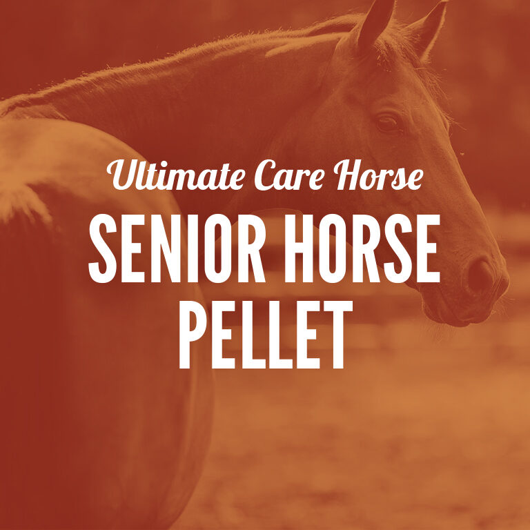 Horse-Senior_Horse_Pellet