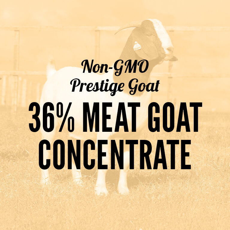 Non-GMO-36_Meat_Goat_Concentrate