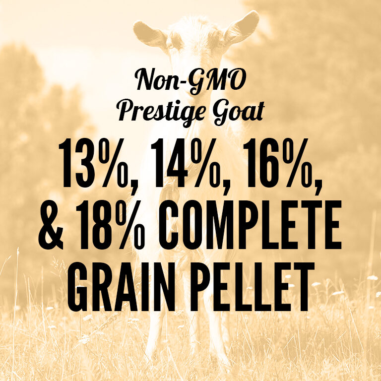 Non-GMO-Goat-13_14_16_18_Complete_Grain_Pellet