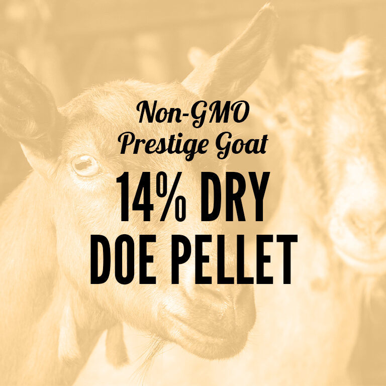 Non-GMO-Goat-14_Dry_Doe_Pellet