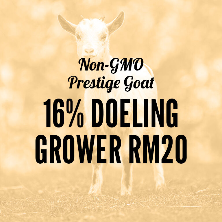 Non-GMO-Goat-16_Doeling_Grower_RM20