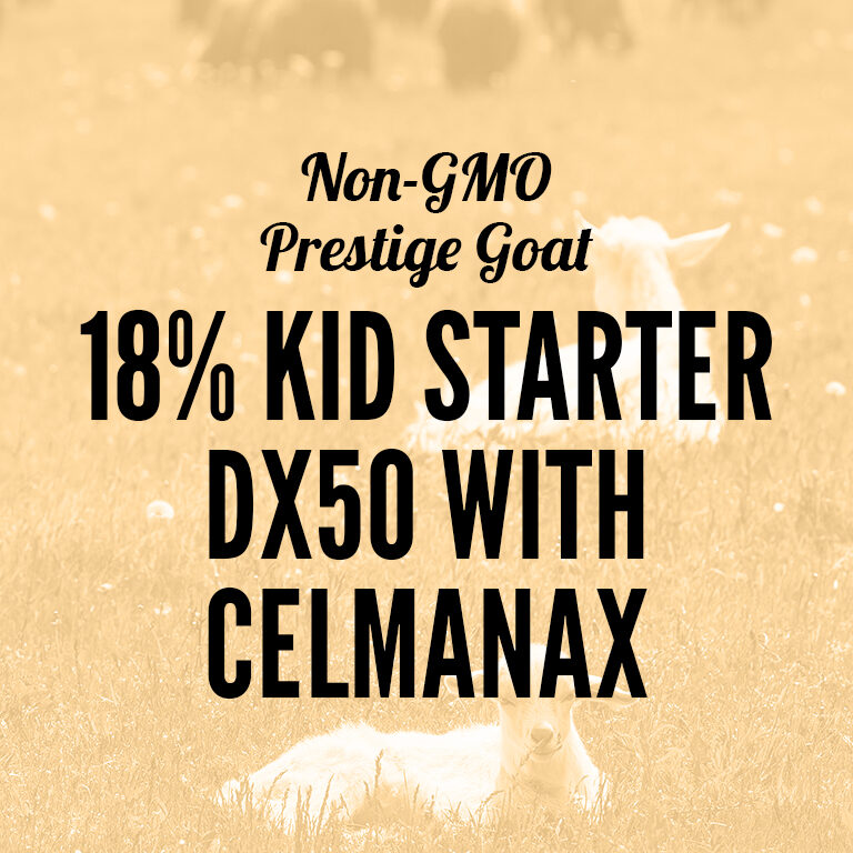 Non-GMO-Goat-18_Kid_Starter_DX50_With_Celmanax