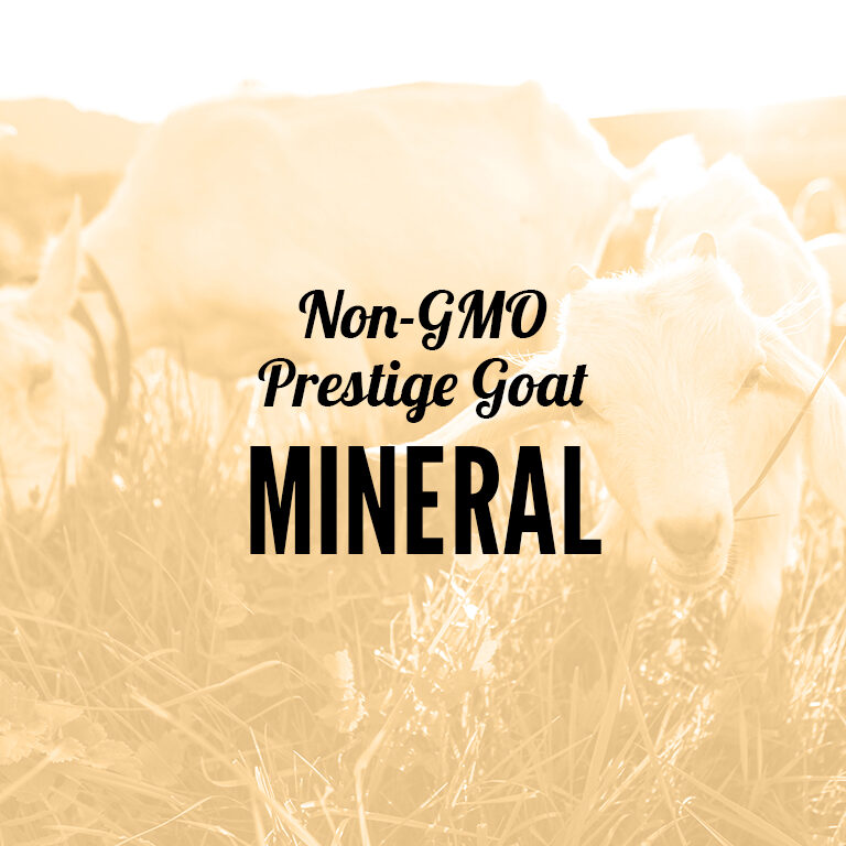 Non-GMO-Goat-Mineral