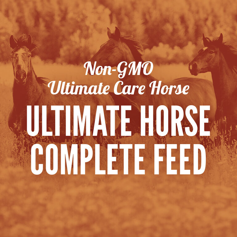 Non-GMO-Horse_Ultimate_Horse