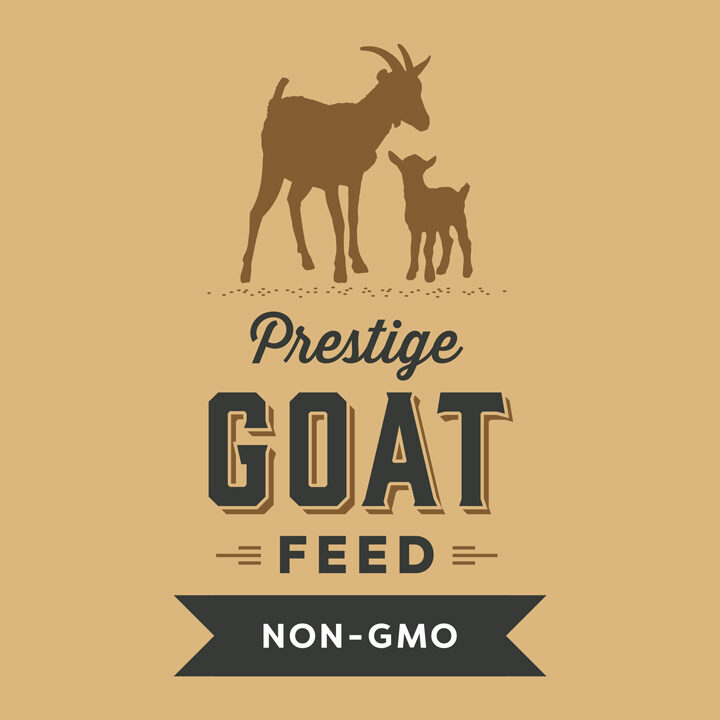 Non-GMO-Prestige-Goat