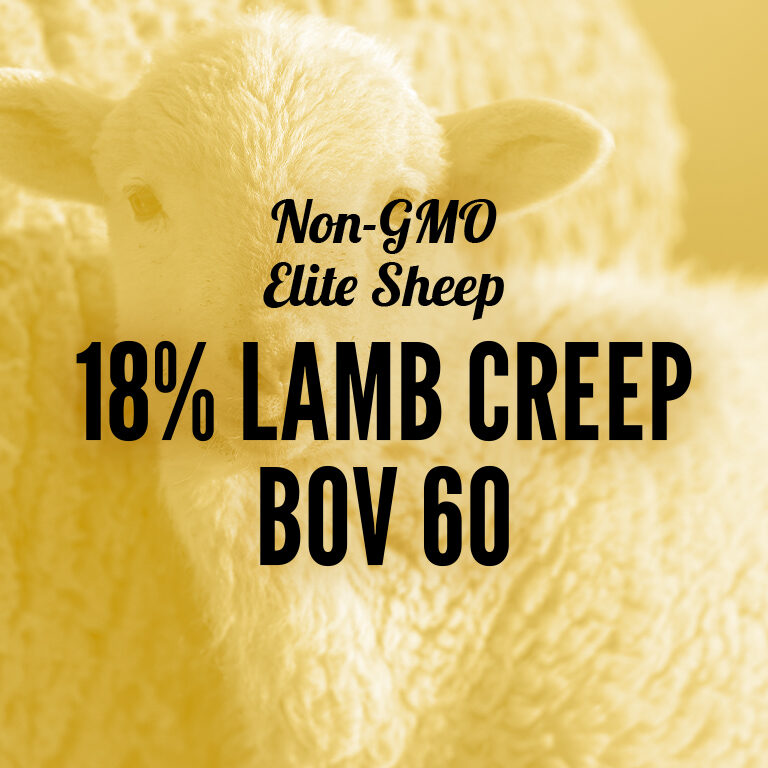 Non-GMO-Sheep-18_Lamb_Creep_BOV_60