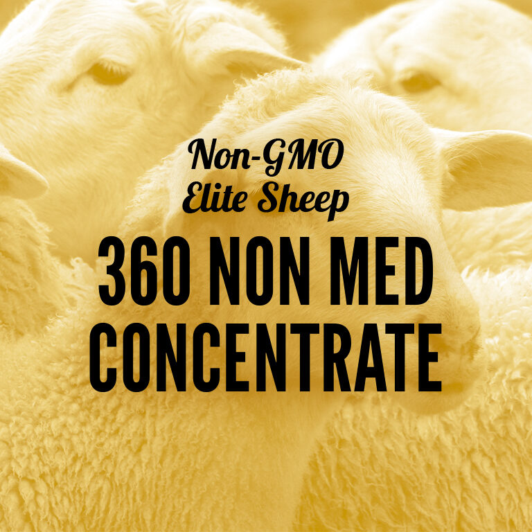 Non-GMO-Sheep-360_Non_Med_Concentrate