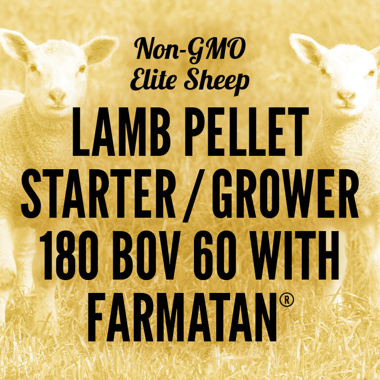 Non-GMO-Sheep-Lamb_Pellet_Starter_Grower_180_BOV_60_With_Farmatan