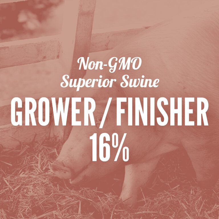 Non-GMO-Swine_Grower-Finisher-16%