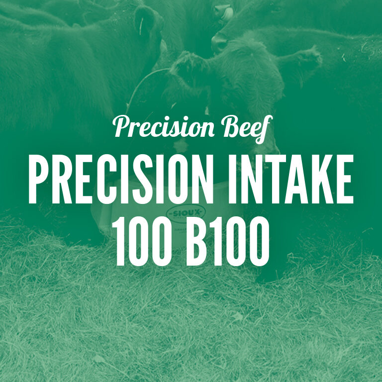 Precision_Beef-Precision_Intake_100_B100
