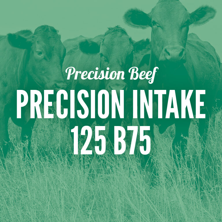 Precision_Beef-Precision_Intake_125_B75