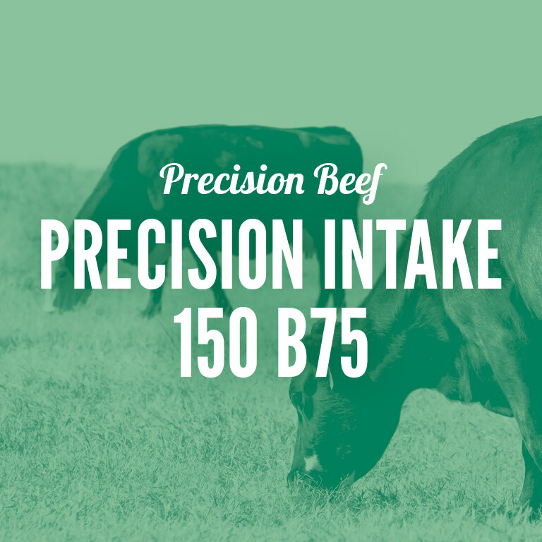 Precision_Beef-Precision_Intake_150_B75