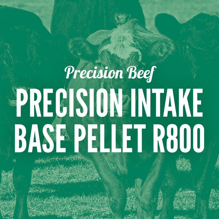 Precision_Beef-Precision_Intake_Base_Pellet_R800