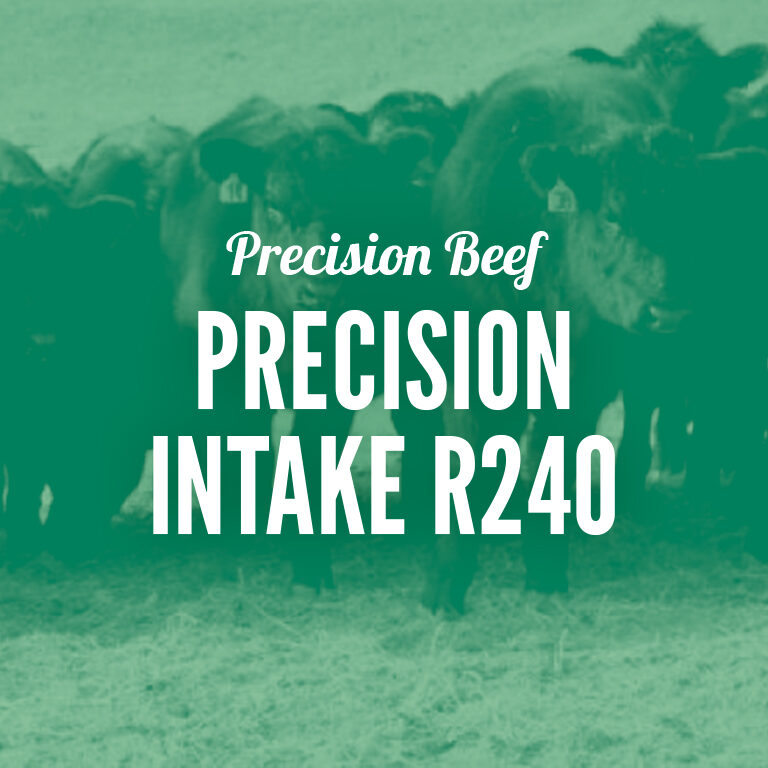 Precision_Beef-Precision_Intake_R240
