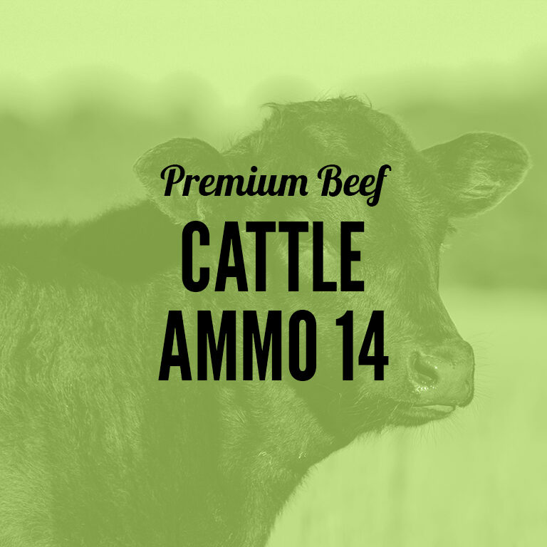 Premium_Beef-Cattle_Ammo_14