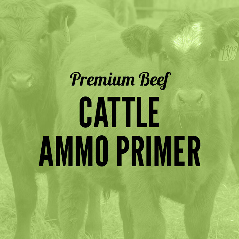 Premium_Beef-Cattle_Ammo_Primer