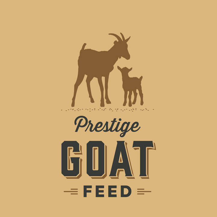 Prestige-Goat