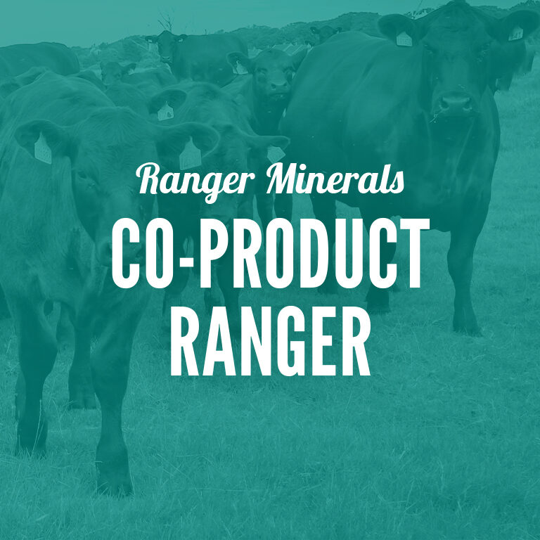 Ranger_Minerals-CoProduct_Ranger