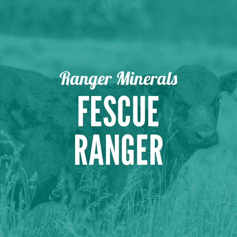 Ranger_Minerals-Fescue_Ranger