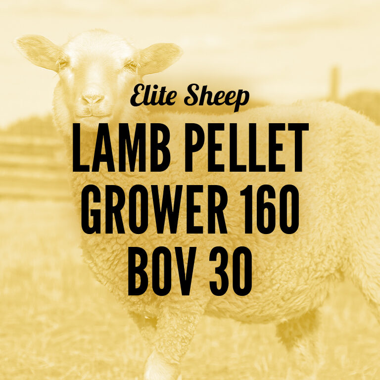 Sheep-Lamb_Pellet_Grower_160_BOV_30